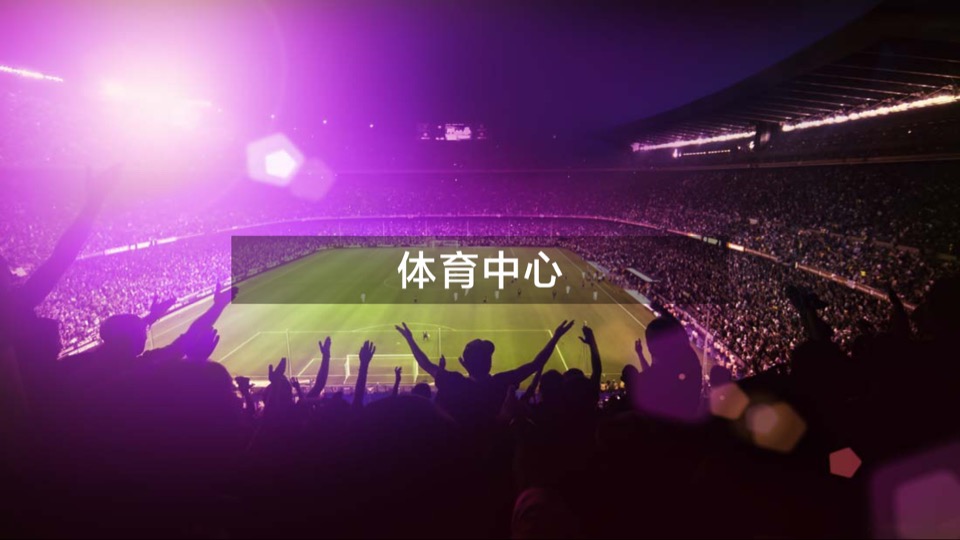 大同富力城年度整合推广方案