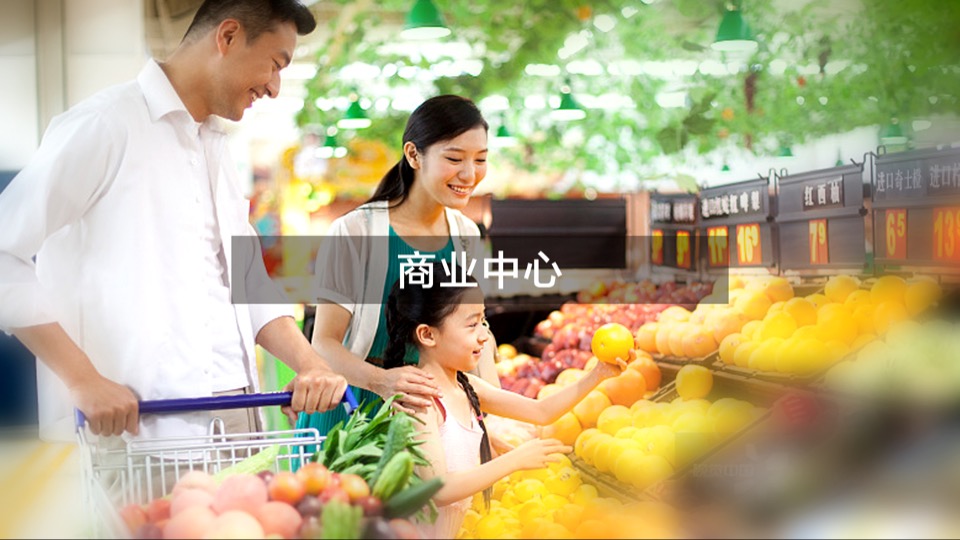 大同富力城年度整合推广方案