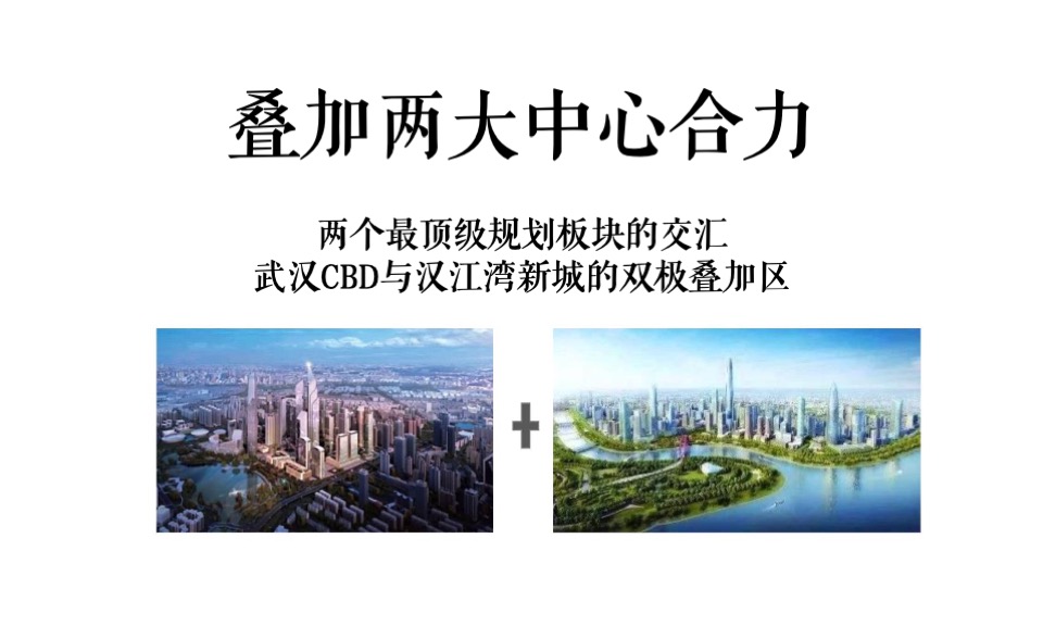 武汉地产集团常码项目年度推广策略案-青铜骑士