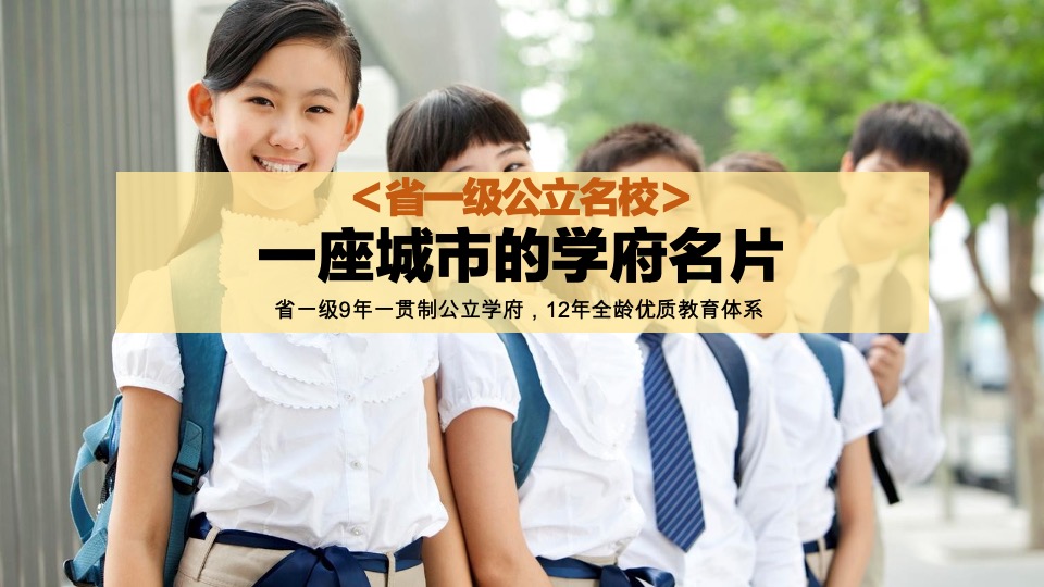 云湖花城年度传播方案