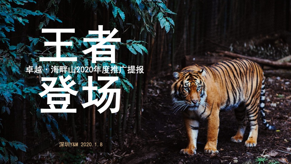 卓越·海畔山年度推广提报 深圳亲密关系