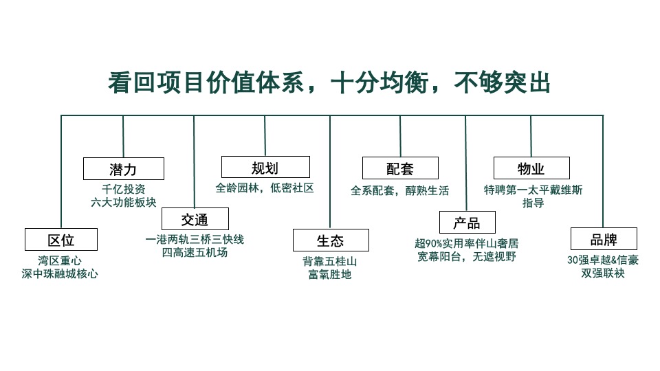 卓越·海畔山年度推广提报 深圳亲密关系