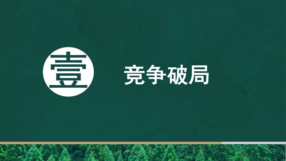 卓越·海畔山年度推广提报 深圳亲密关系