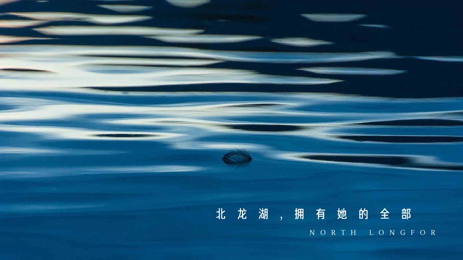 郑州外滩北龙湖伟业上域视觉提报