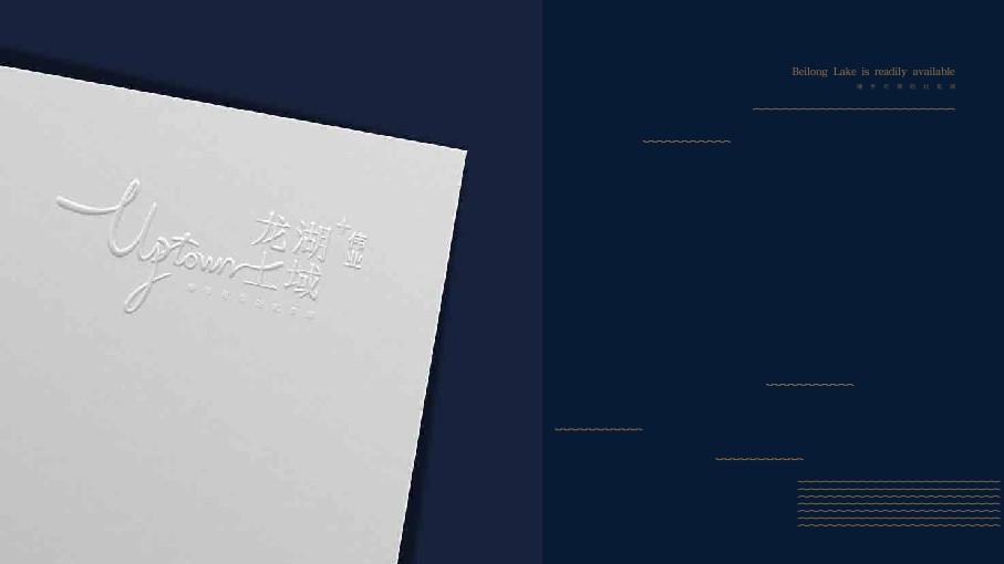 郑州外滩北龙湖伟业上域视觉提报