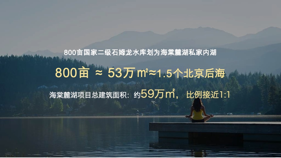 中交海棠麓湖住宅项目策略推广方案