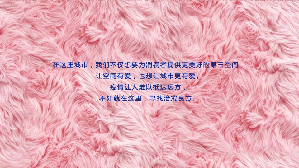 商业广场新年毛绒绒艺术展（抱抱兔主题）活动策划方案