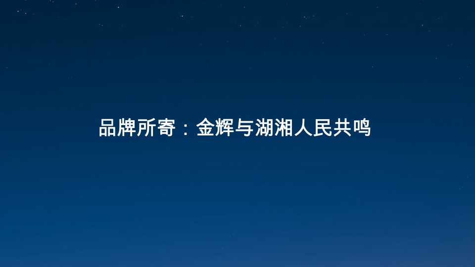 金辉湖南品牌及优步学府故事线提报 #品牌推广##学府盘#-大拿中国
