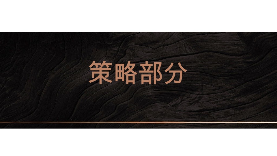 【公寓】卓越·中寰下半年推广策略案