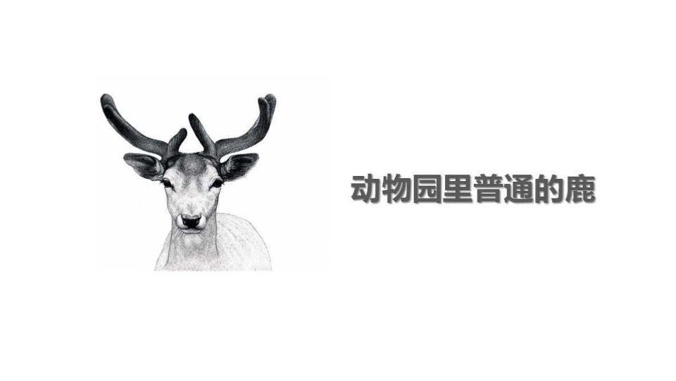 格物安阳未来城提报