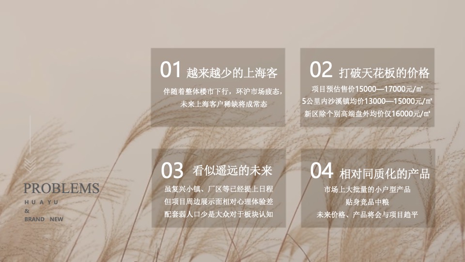 华宇城厢地块提报-白牛品牌-自转社区