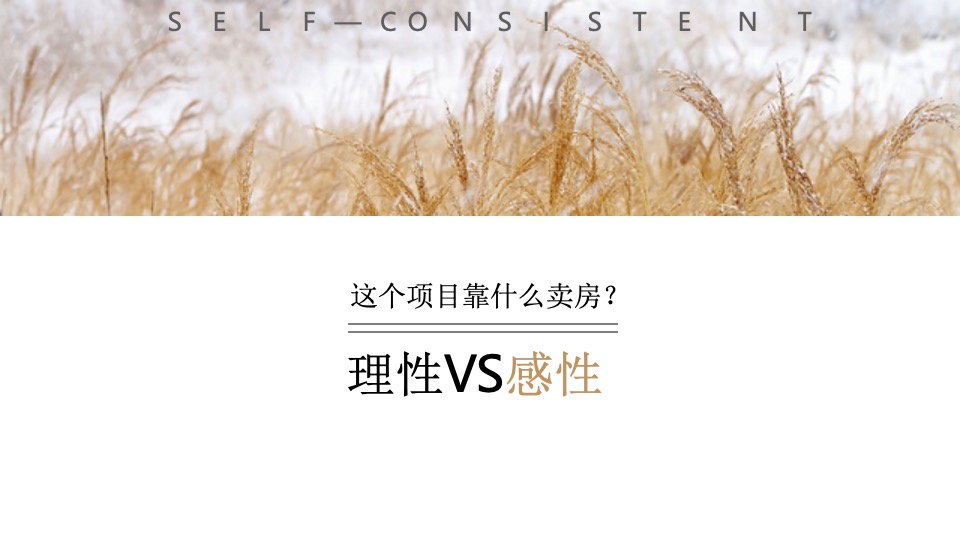 华宇城厢地块提报-白牛品牌-自转社区