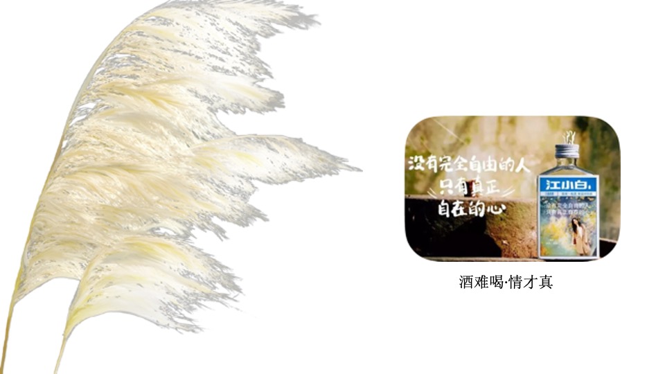 华宇城厢地块提报-白牛品牌-自转社区
