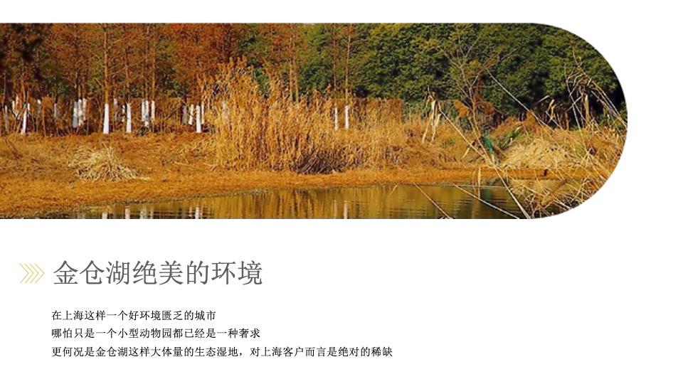 华宇城厢地块提报-白牛品牌-自转社区