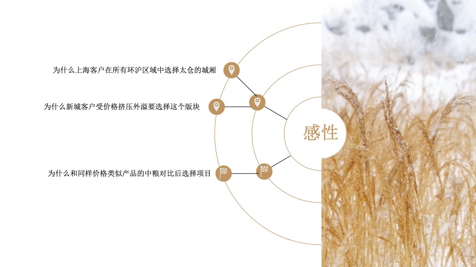 华宇城厢地块提报-白牛品牌-自转社区