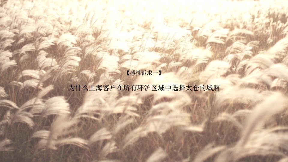 华宇城厢地块提报-白牛品牌-自转社区