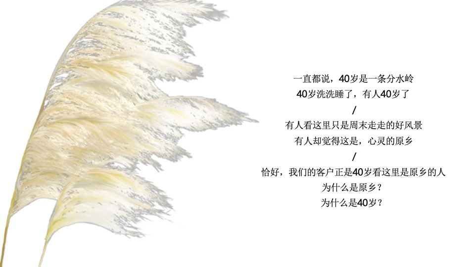 华宇城厢地块提报-白牛品牌-自转社区