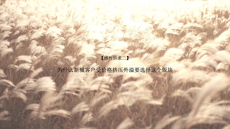 华宇城厢地块提报-白牛品牌-自转社区