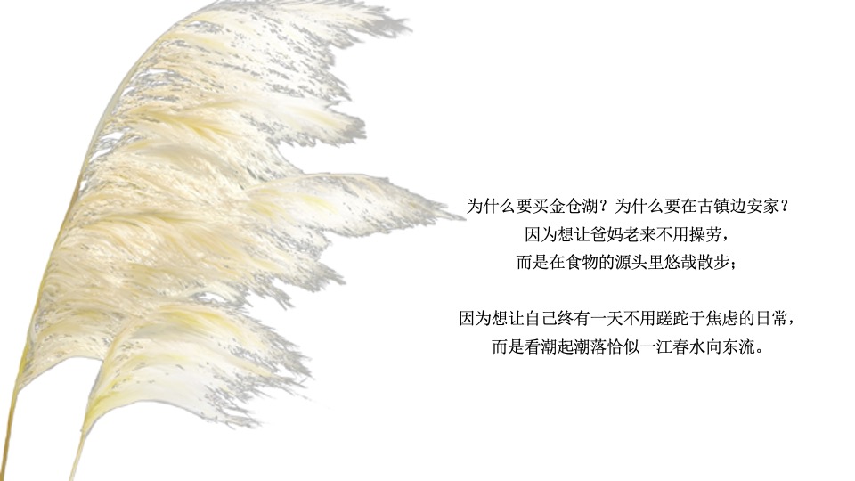 华宇城厢地块提报-白牛品牌-自转社区
