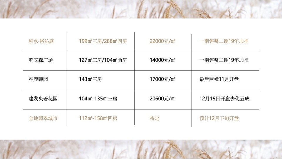 华宇城厢地块提报-白牛品牌-自转社区