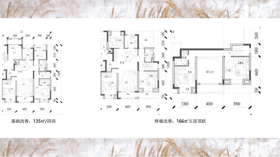 华宇城厢地块提报-白牛品牌-自转社区