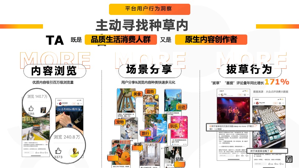 大众点评APP品牌营销通案