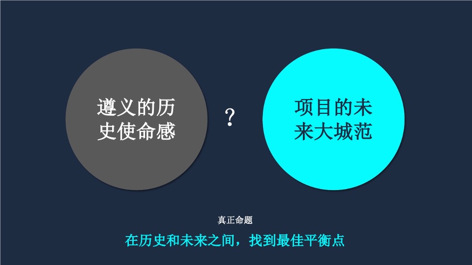 遵义北大资源·未来之光项目提案