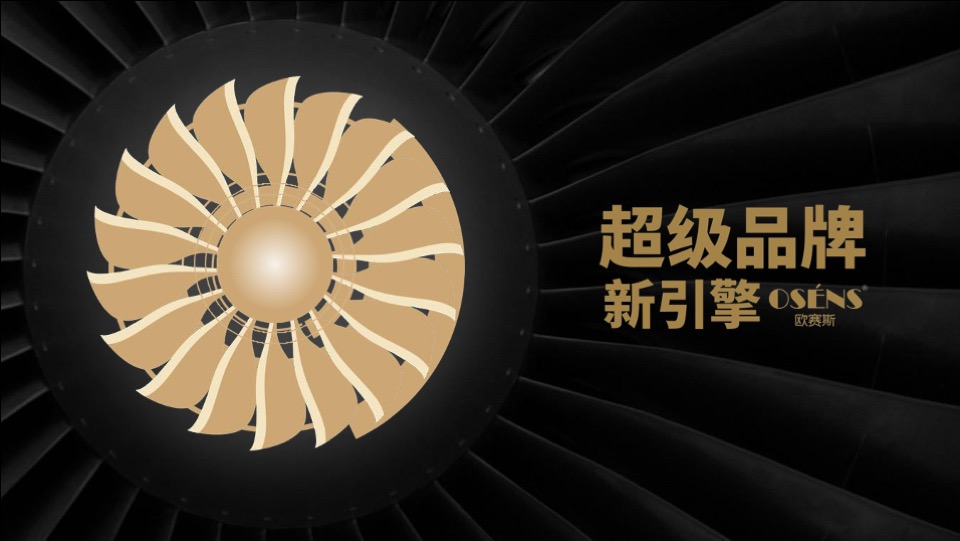 集品堂滋补品品牌战略规划