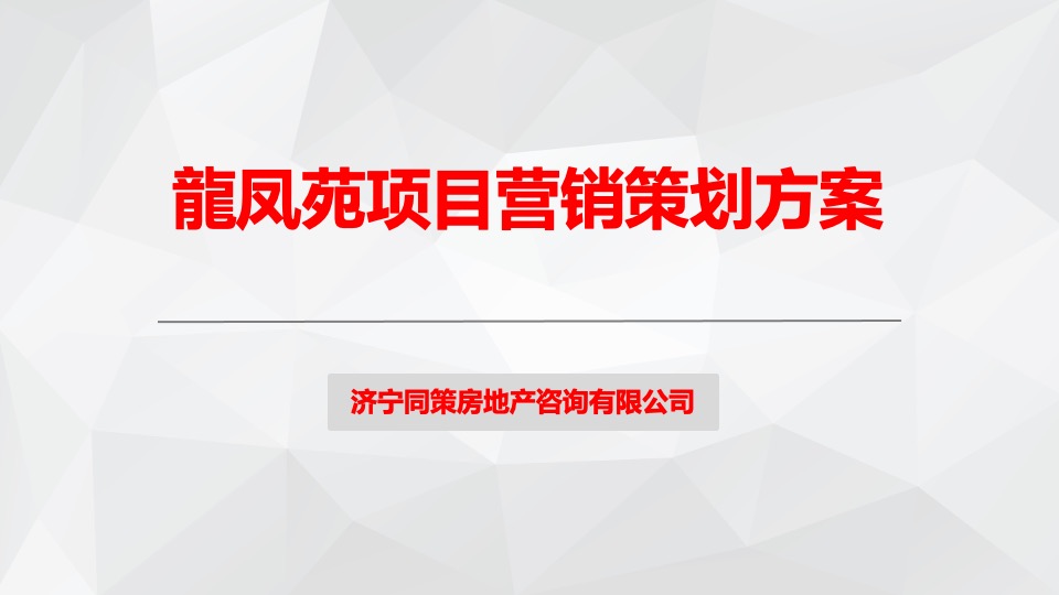 龍凤苑项目营销策划方案
