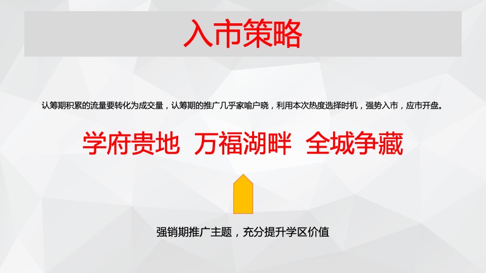 龍凤苑项目营销策划方案