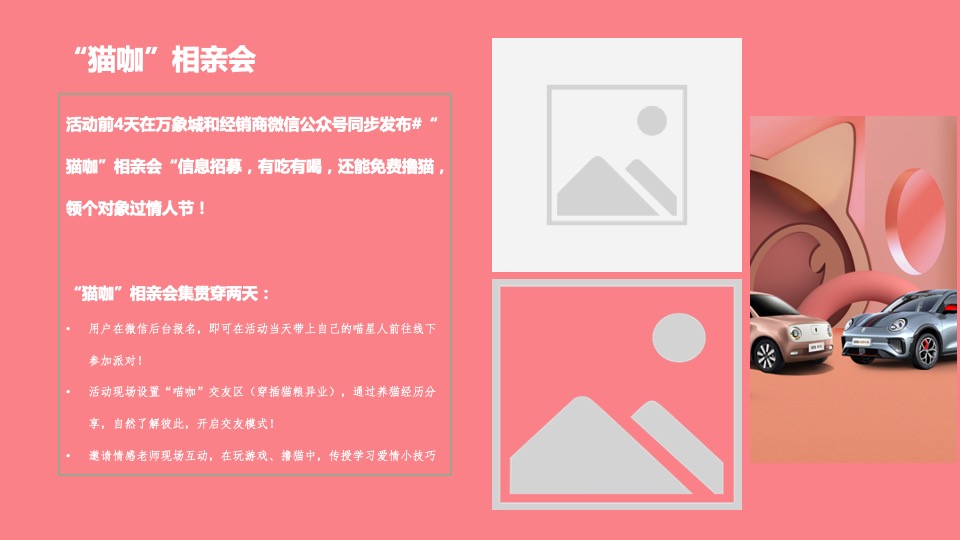 汽车品牌情人节宠爱生活节（专属宠爱 甜蜜喵语主题）活动策划方案