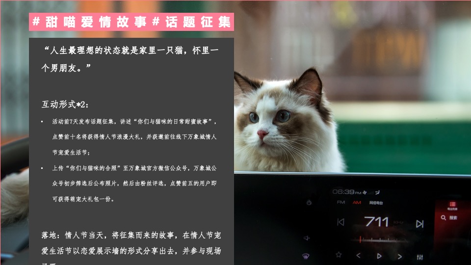 汽车品牌情人节宠爱生活节（专属宠爱 甜蜜喵语主题）活动策划方案