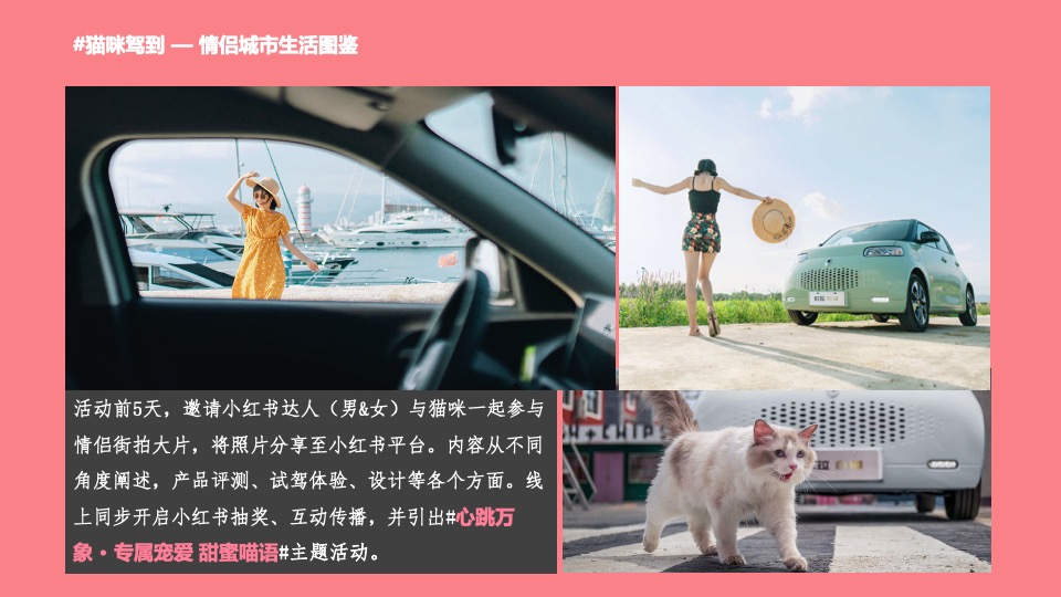 汽车品牌情人节宠爱生活节（专属宠爱 甜蜜喵语主题）活动策划方案