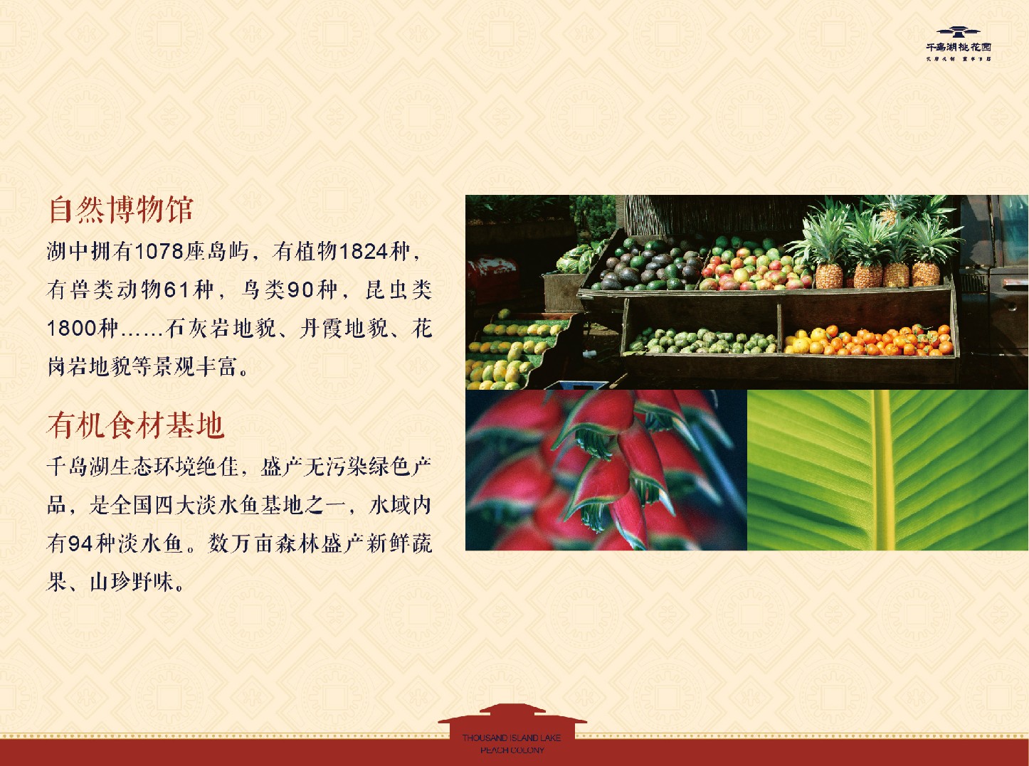 千岛湖桃花园推介PDF #院墅#