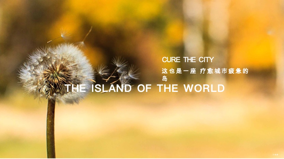 仁恒海和院Final推介PPT #院墅# #合院# #叠墅# #洋房#