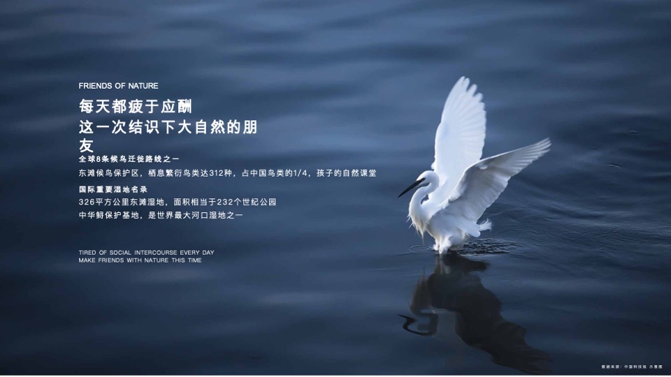 仁恒海和院Final推介PPT #院墅# #合院# #叠墅# #洋房#