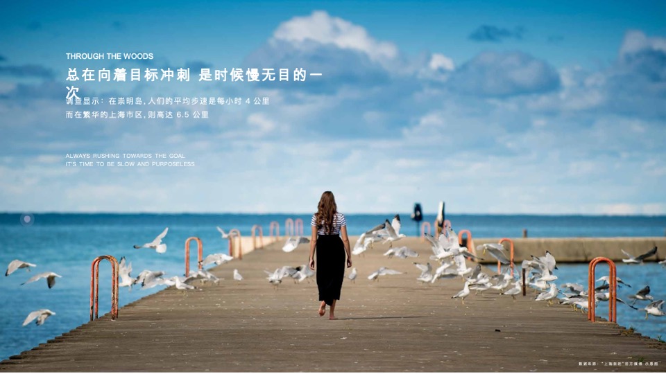 仁恒海和院Final推介PPT #院墅# #合院# #叠墅# #洋房#