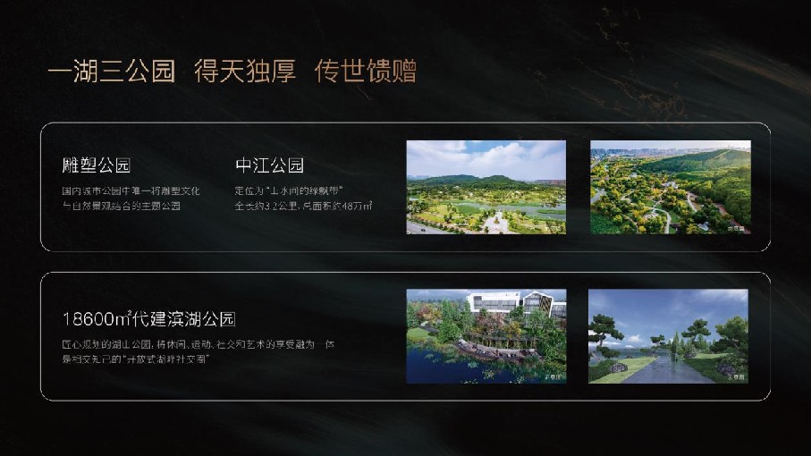 伟星·湖山雲著项目推介PPT