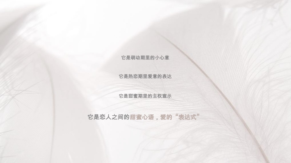 珠宝品牌产品推广策划方案