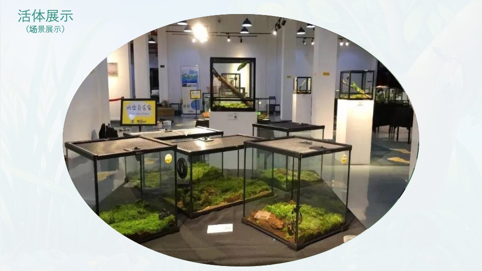 地产项目三月春季趣玩主题月（春趣主题）活动策划方案