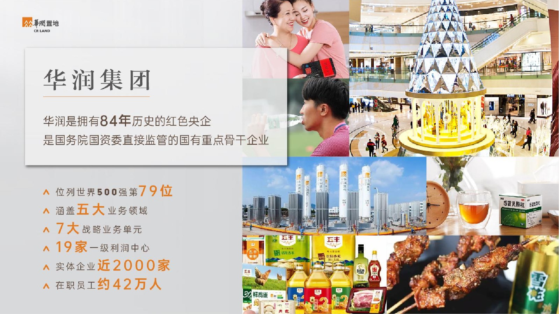 华润置地誉澜颂推介PDF #学府# #二环#