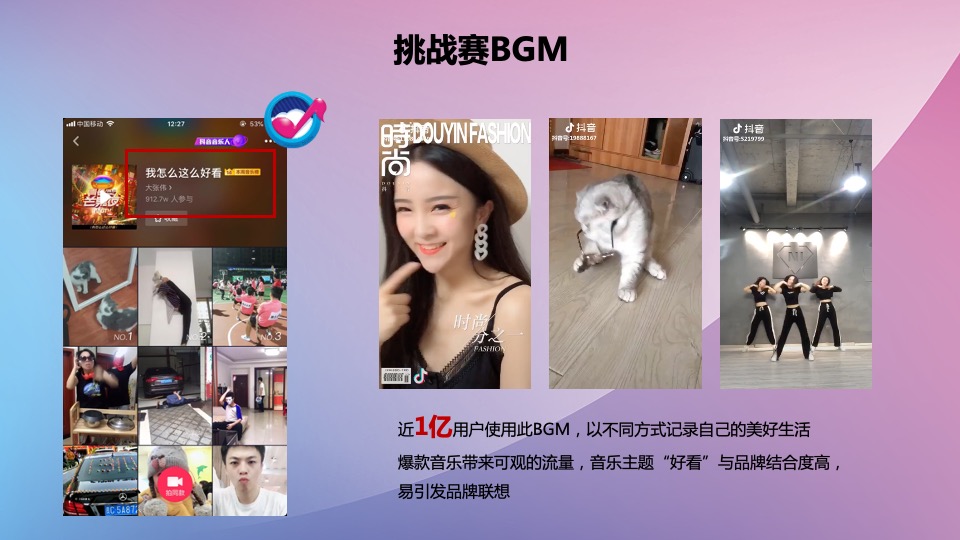 广誉远定坤丹抖音挑战赛传播规划