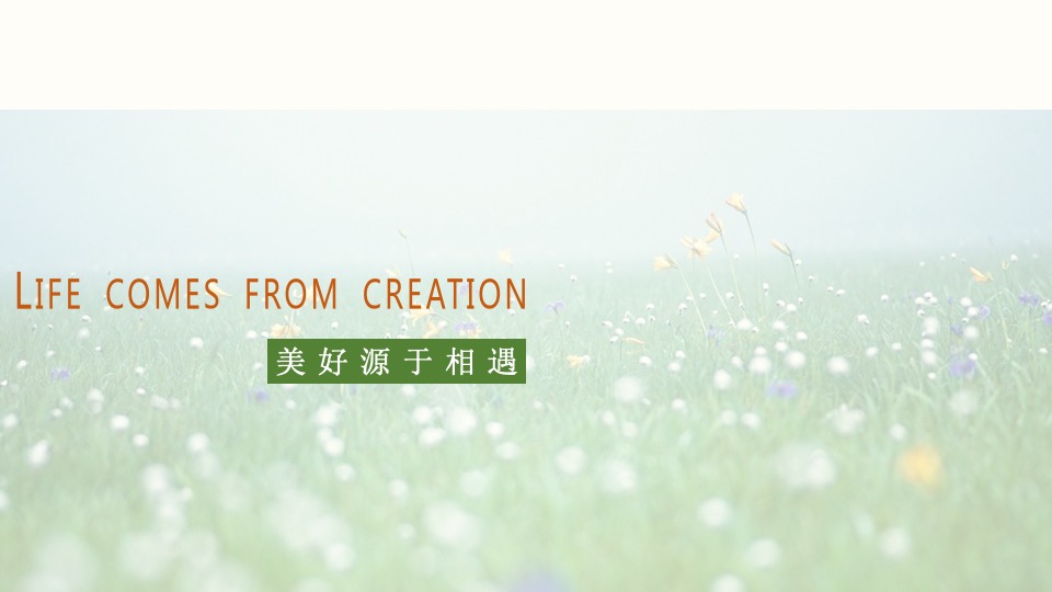 文旅景区花市开园及春季系列花展（赴一场浪漫花市主题）活动策划方案