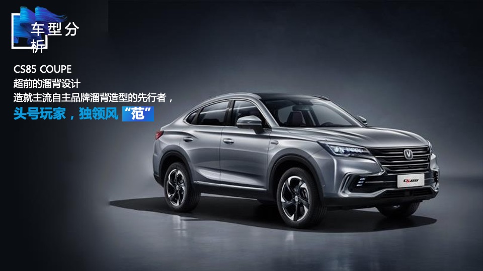 长安汽车广东区域营销策划方案