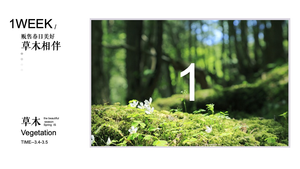 地产项目春日3月月度暖场（贩售春日美好主题）活动策划方案