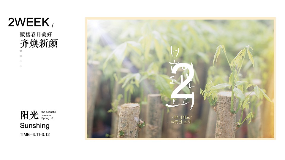 地产项目春日3月月度暖场（贩售春日美好主题）活动策划方案