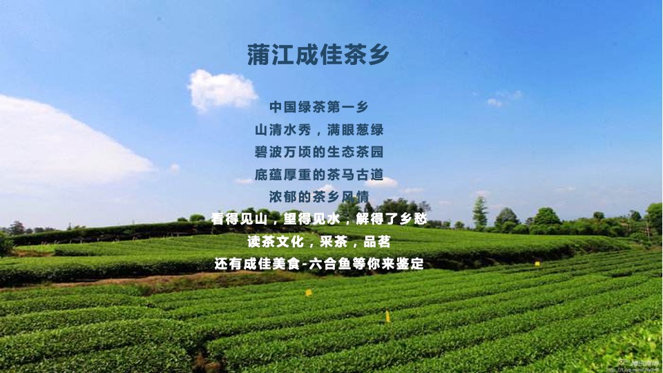 白酒品牌客户春季出游（春香雅集 茶酒留香主题）活动策划方案