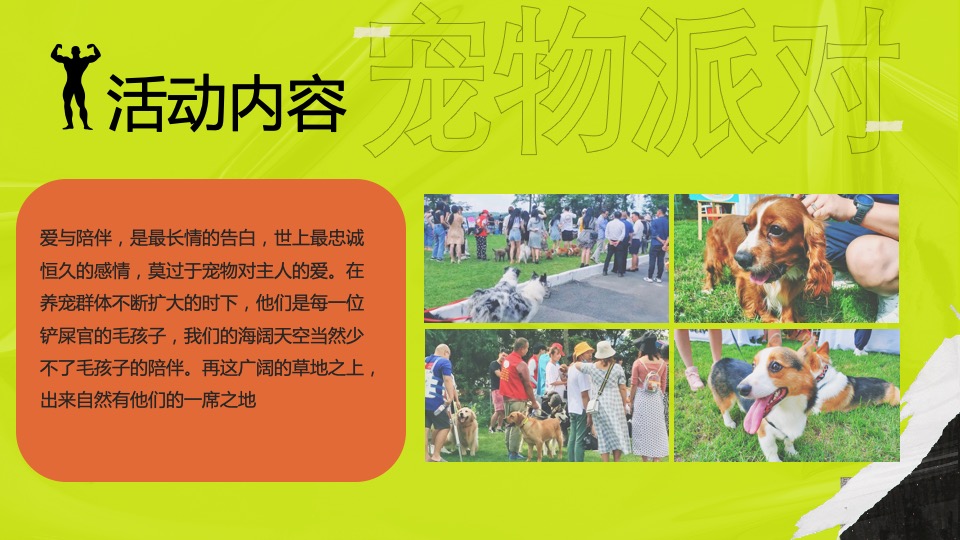 城市春季风筝文化节（浪潮运动主题）活动策划方案