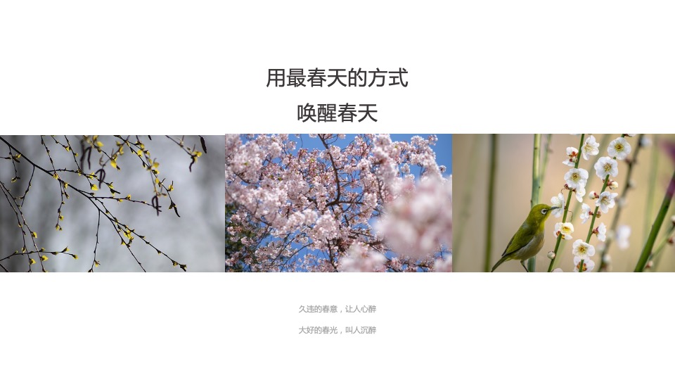 地产项目3月#唤醒春日计划#主题活动策划案