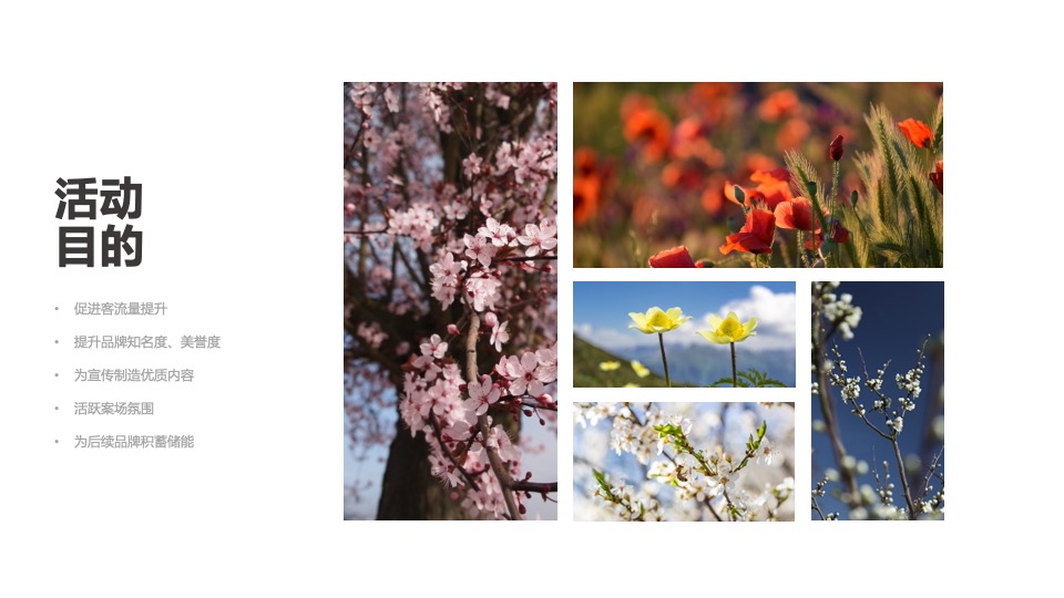 地产项目3月#唤醒春日计划#主题活动策划案